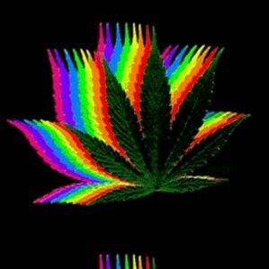 Meet your Posher, Immogen